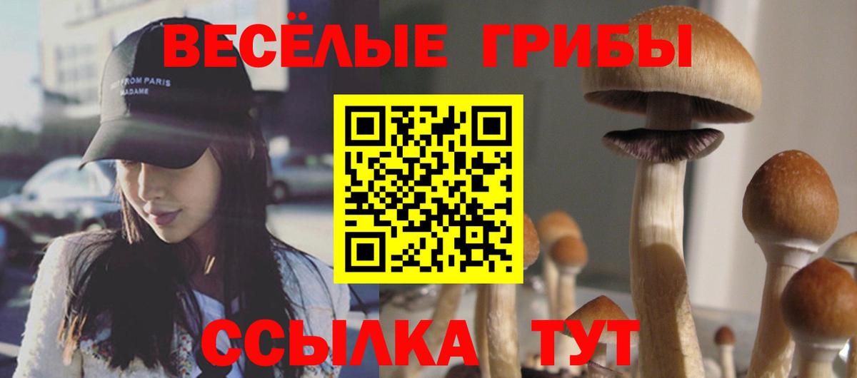 Мурманск  Псилоцибиновые грибы MAGIC MUSHROOMS  купить  сайты  Вход с VPN 